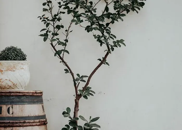 Hotel Crystal Centre 3*